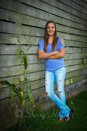 BB_10-13-13_SLH_SP-1