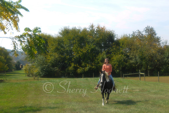 BB_10-13-13_SLH_SP-140