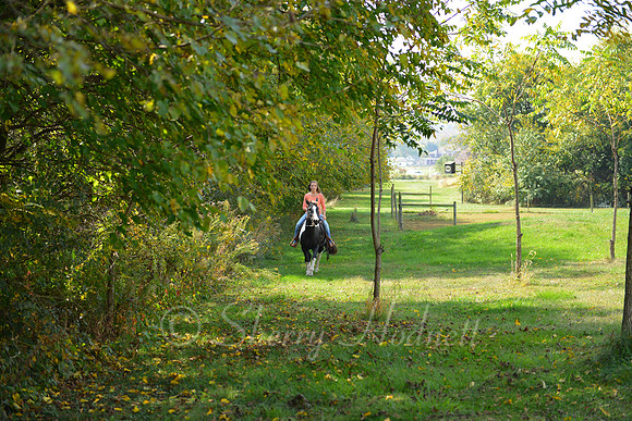 BB_10-13-13_SLH_SP-156