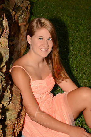 SNYDER_7-1-13_LLC_SP-22