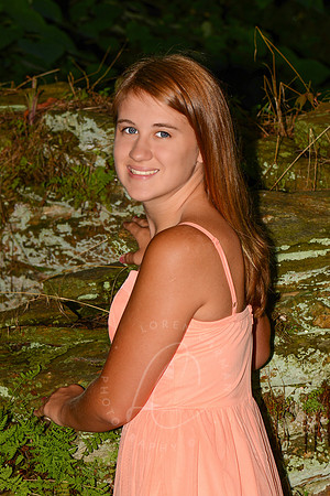 SNYDER_7-1-13_LLC_SP-33