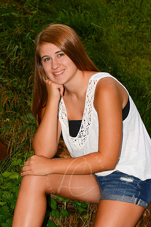 SNYDER_7-1-13_LLC_SP-36