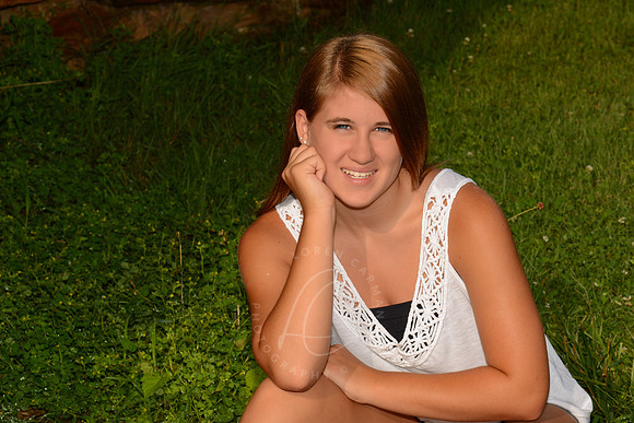 SNYDER_7-1-13_LLC_SP-60