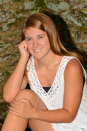 SNYDER_7-1-13_LLC_SP-65
