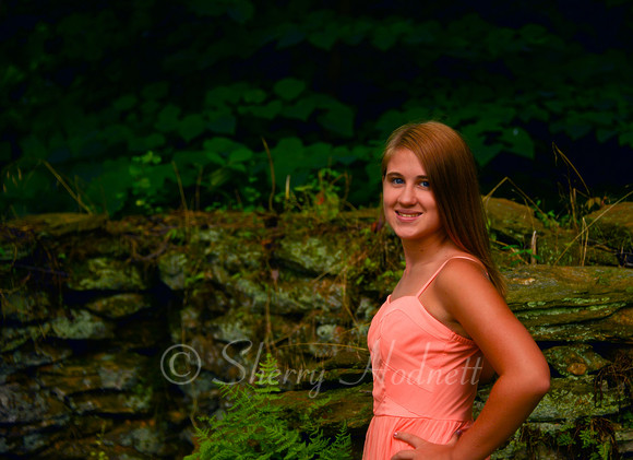 Snyder_7-1-13_SLH_SP-29