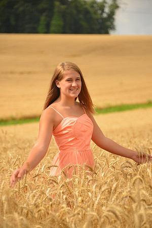 Snyder_7-1-13_SLH_SP-3