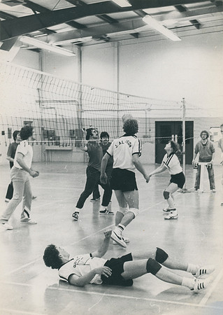 Power Volleyball (14)