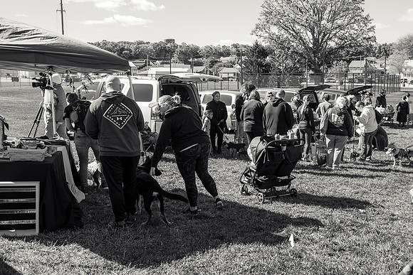 _DSC5356-2