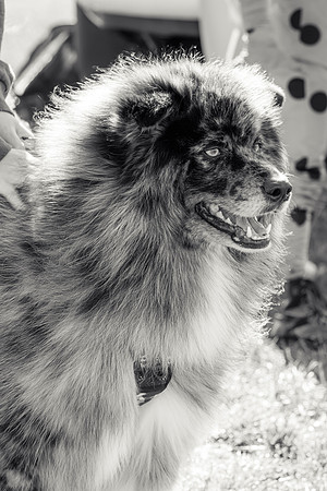 _DSC5453-2