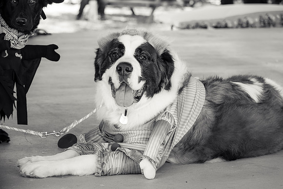 _DSC5500-2