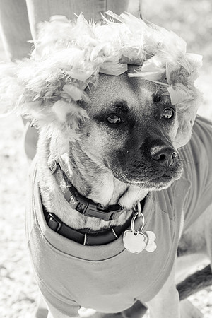 _DSC5544-2