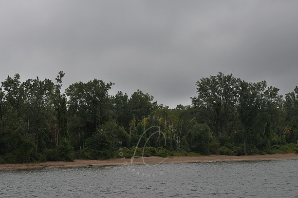 D74_2842