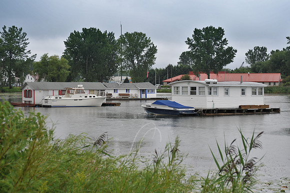 D74_2889