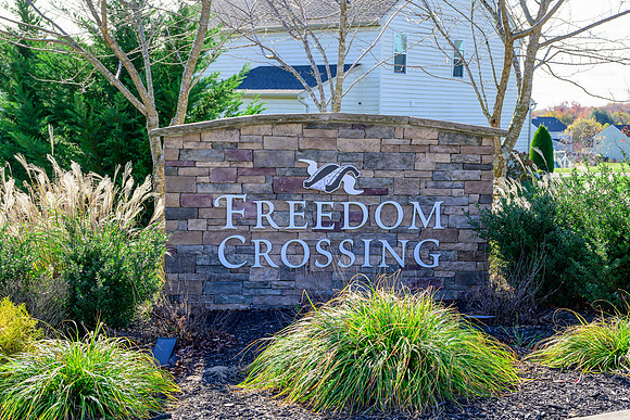 Freedom Crossing _DSC5578