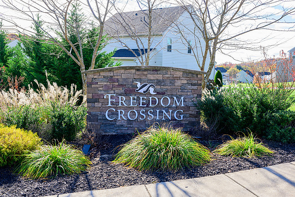 Freedom Crossing _DSC5579
