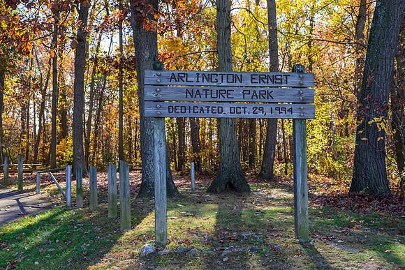 Arlington Ernst Nature Park _DSC5576-2