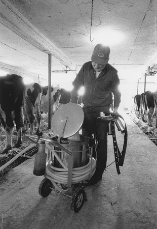 Ryer Farm Cow Milking (6)-2