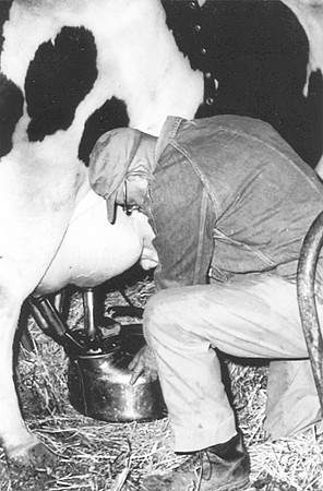 John Parrish Sr Milking Cow - 1966
