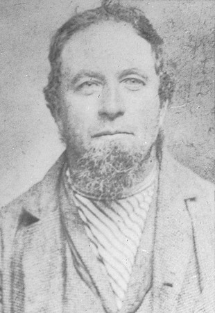 Peter M Shearer