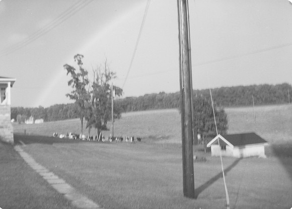 Rainbow June 1979