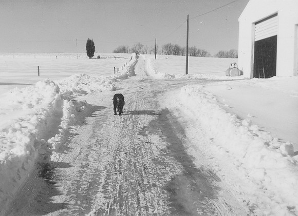 Snow Farm Photo - 1982 (2)