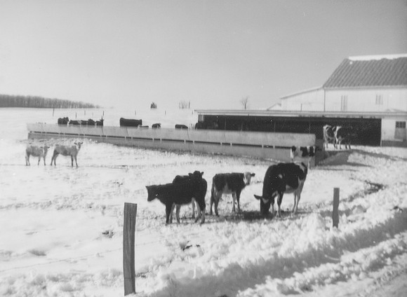 Snow Farm Photo - 1982