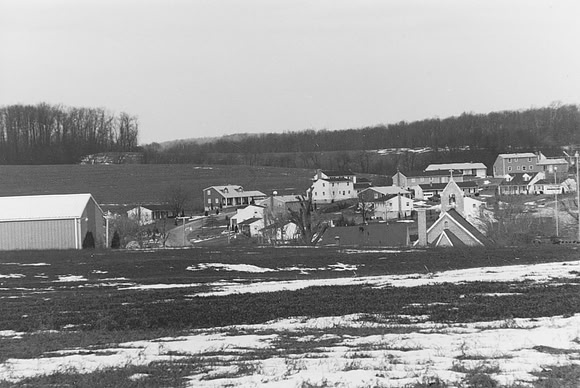 Winter Scene