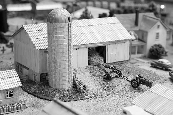 _DSC6550-2