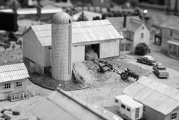 _DSC6551-2