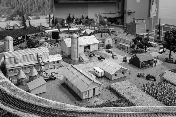 _DSC6553-2