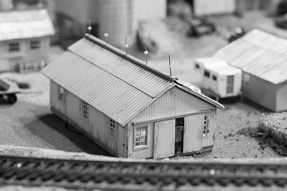 _DSC6557-2