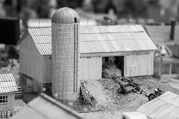 _DSC6558-2