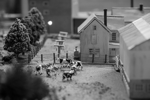 _DSC6561-2