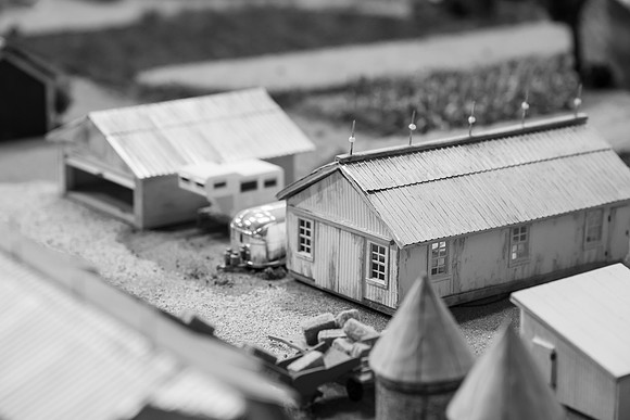 _DSC6563-2
