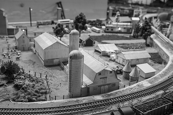 _DSC6565-2