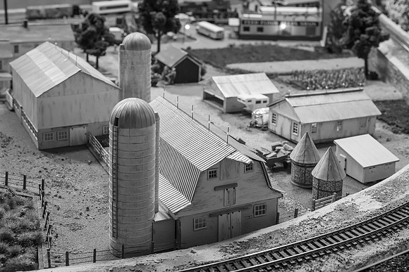 _DSC6566-2