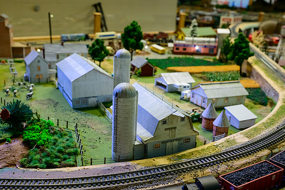 _DSC6565