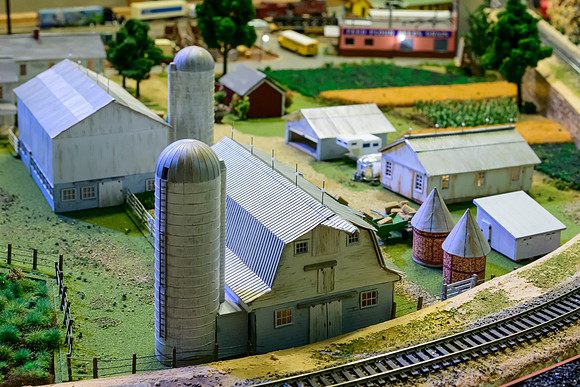 _DSC6566