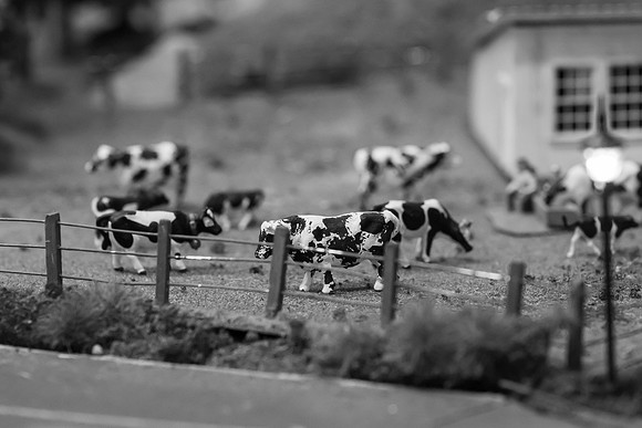 _DSC6574-2