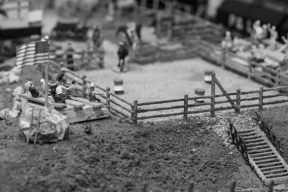 _DSC6576-2