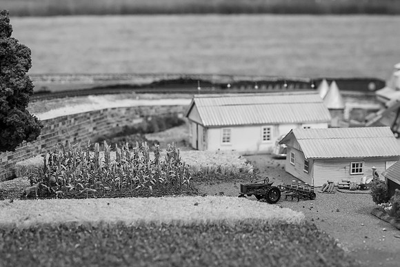 _DSC6586-2