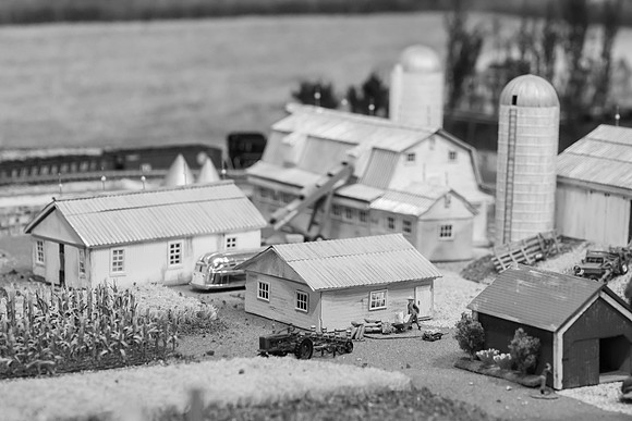 _DSC6587-2