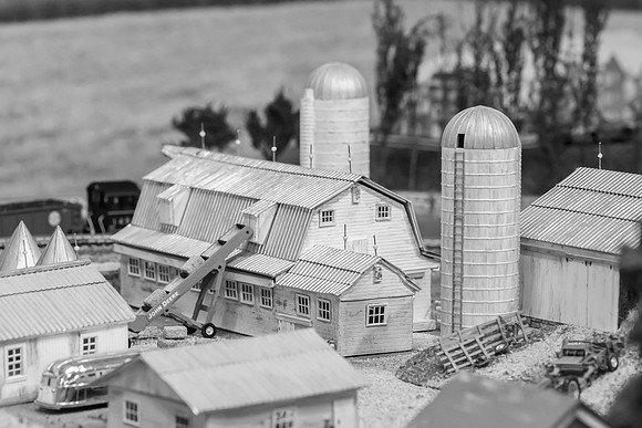_DSC6588-2