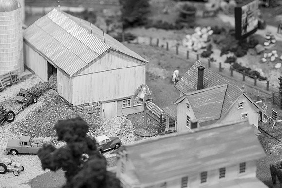 _DSC6604-2