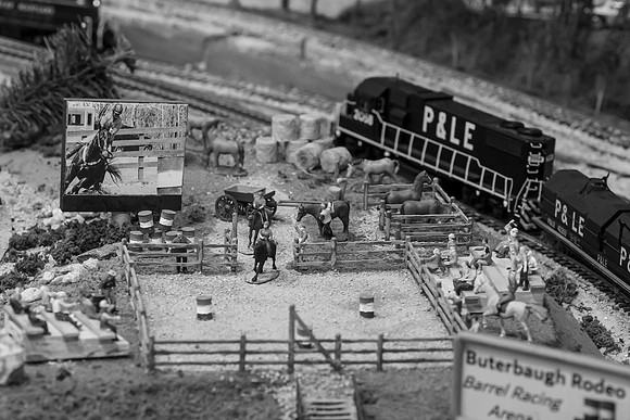 _DSC6607-2