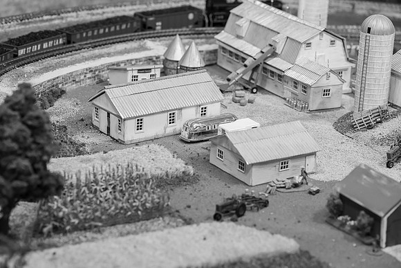 _DSC6615-2