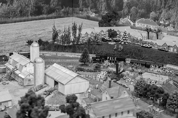 _DSC6618-2