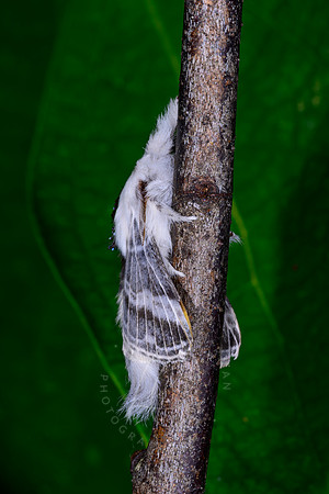 _DSC5056