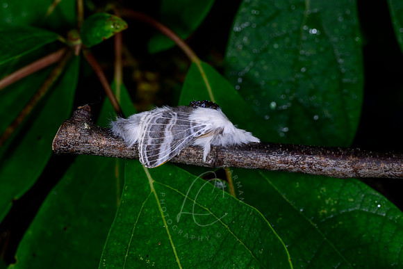 _DSC5051