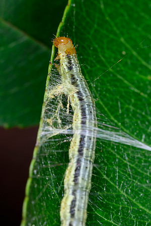 _DSC1559